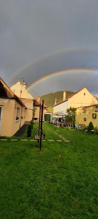 Casa Joy Villa Rîşnov Eksteriør bilde